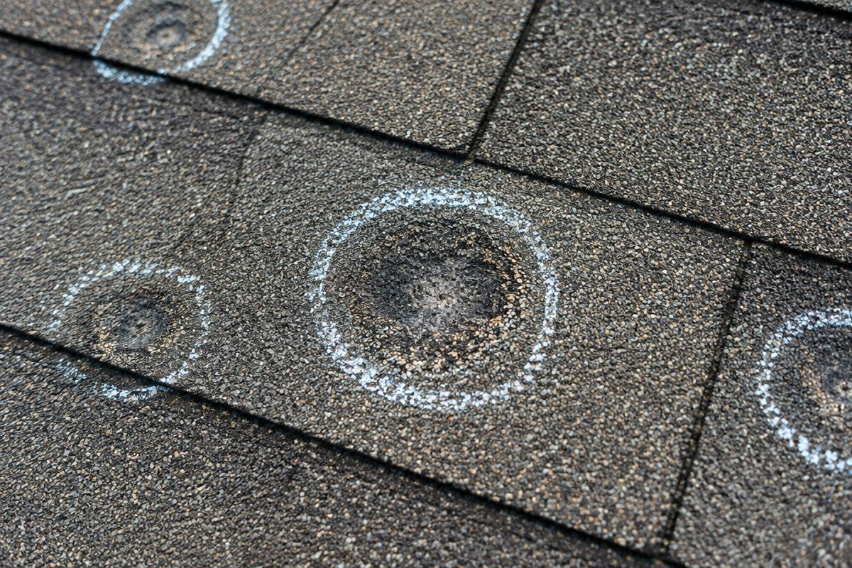 Hail bruises circled on asphalt shingles during an inspection